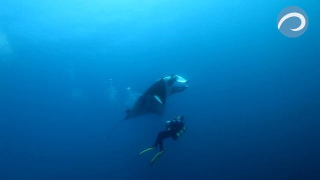 Ocean TV смотреть онлайн