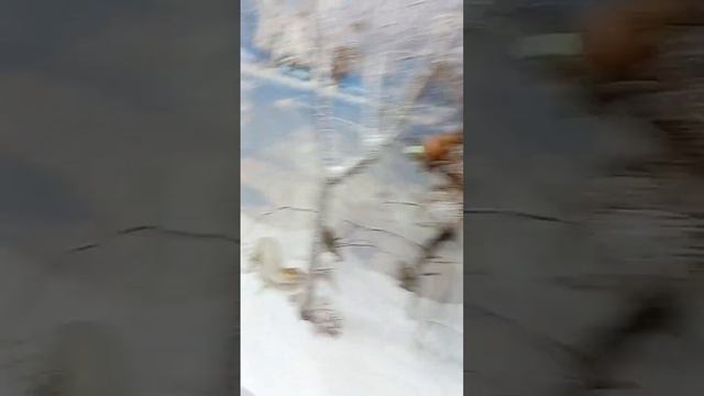 краеведческий музей Курск смотреть онлайн