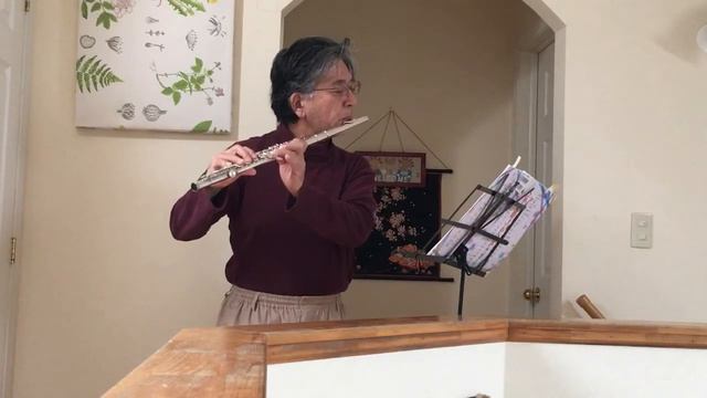 LOVE LOVE LOVE(Dream Come True) Flute Solo смотреть онлайн