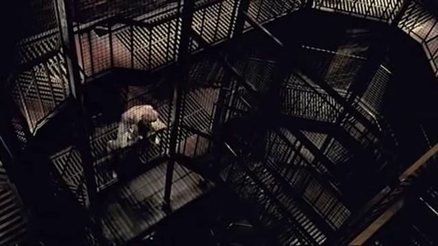 Остров проклятых