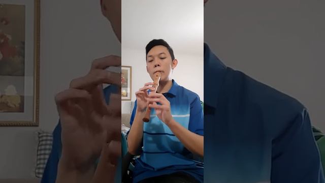 Water Music Suite No.3 Minuet Hwv 350 | Wooden Soprano Recorder test смотреть онлайн