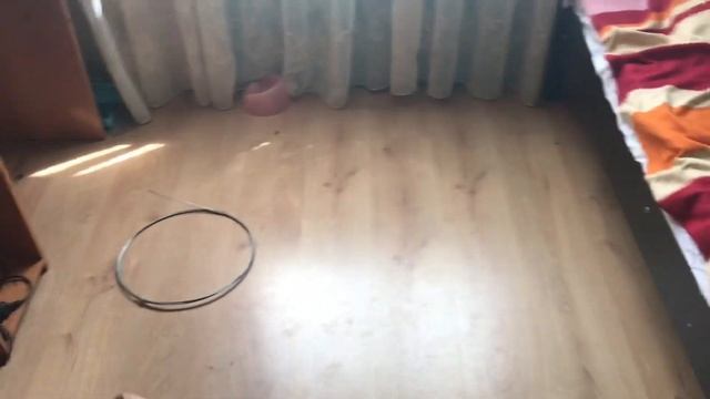 Я подстриглась. Покрасила Полину. Деревенский влог. смотреть онлайн