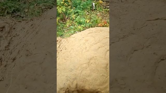 Муфельная печь в моем дворе, часть 7 смотреть онлайн