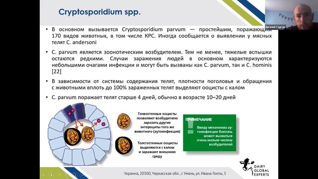 Выращивание молодняка КРС смотреть онлайн