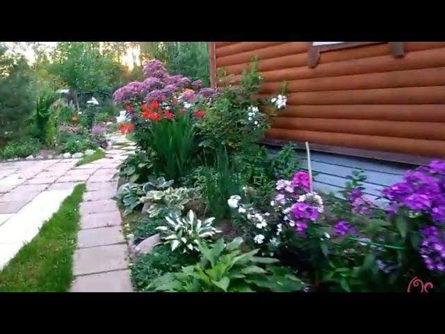 Экскурсия по саду моей соседки Светланы. смотреть онлайн