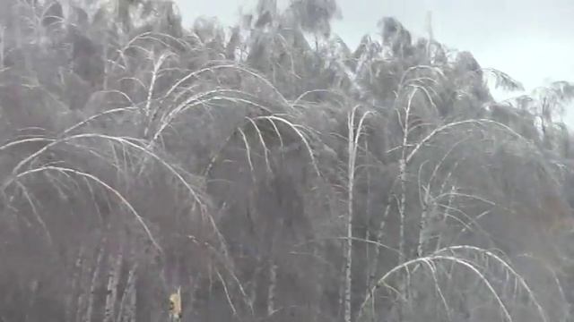 "Конец светУ" в Воротынце смотреть онлайн