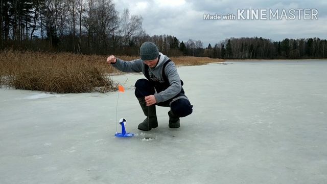 ЖЕРЛИЦЫ. БЕШЕНЫЙ КЛЁВ. Закрытие зимней рыбалки 2020. Рыбалка. смотреть онлайн