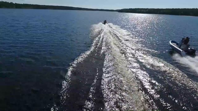 Кольский полуостров. Горбуша, кумжа. смотреть онлайн