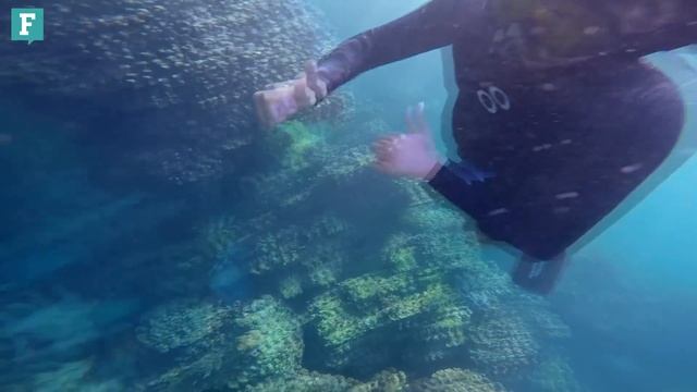 Using Fleep to save the oceans смотреть онлайн