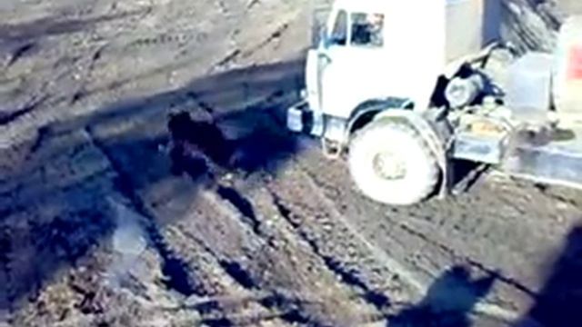 внештатный сотрудник ДПС смотреть онлайн