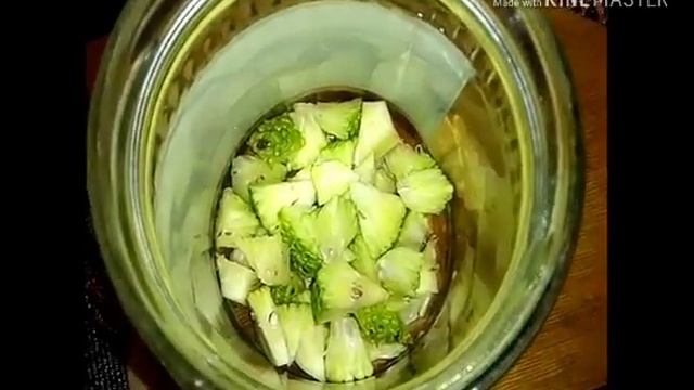 адомово яблоко. маклюра. и масляная настойка