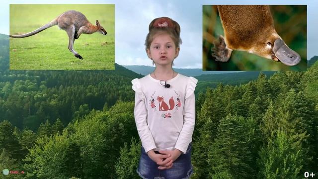 Живой мир. История жизни 0+ смотреть онлайн