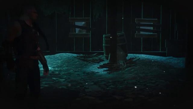 Прохождение Ведьмак 3 Дикая Охота The Witcher 3 Wild Hunt — Часть 45 смотреть онлайн