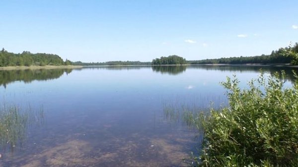 Озеро Дго Национальный парк "Смоленское Поозерье" 2019