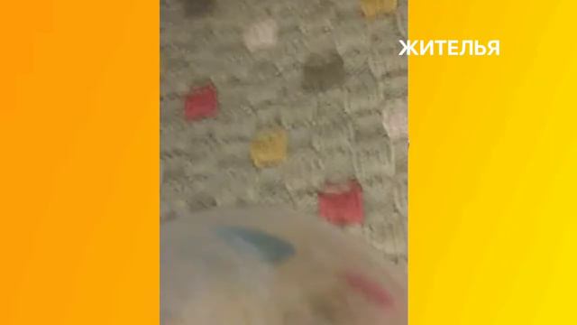 Рофл-эксперемэнит чэлинч (является рофл контент, повторять дома запрещено) + пaсхалка в конце. смотреть онлайн