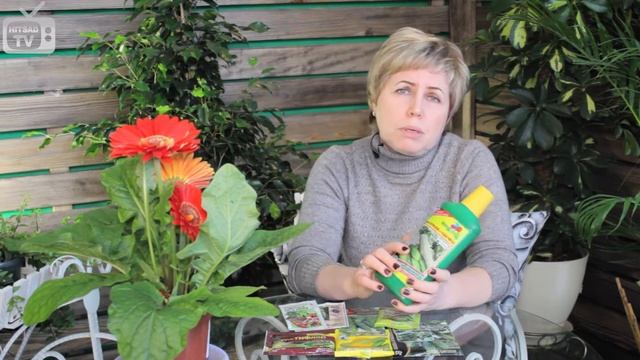 Огурцы на подоконнике 《Часть 2 на ХитсадТВ》 смотреть онлайн