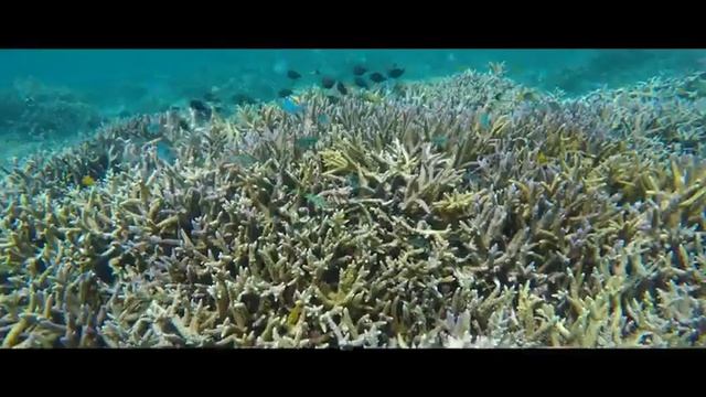 Вода источник жизни смотреть онлайн