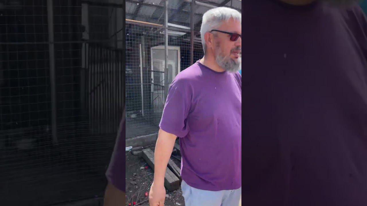 Вот так православные отмечают день Георгия Победоносца смотреть онлайн