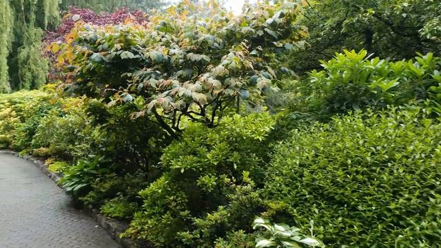 86. Разговор о Ганеше. смотреть онлайн