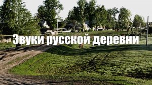 Звуки русской деревни. Пение птиц