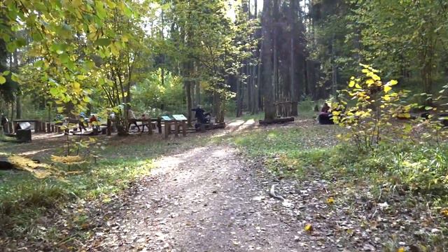 Лигатне. Октябрь 2021. Кабаны, лоси и прочая живность. смотреть онлайн