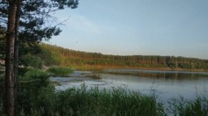Днюха у Насти. Рыбалка на снасти))