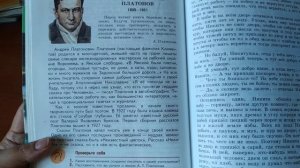 Урок русской литературы в 5 классе по рассказу Платонова Никита