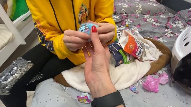 ВЛОГ Забрали Теру /Купили мопса / Новый питомец мопсик / Новая обувь смотреть онлайн