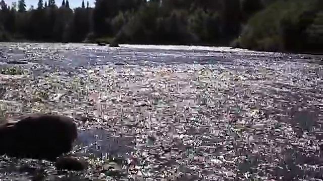 Порог Морской смотреть онлайн