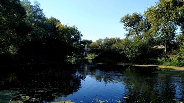 28 августа-УСПЕНИЕ ПРЕСВЯТОЙ БОГОРОДИЦЫ. Что запрещено в этот день.Традиции и приметы. смотреть онлайн