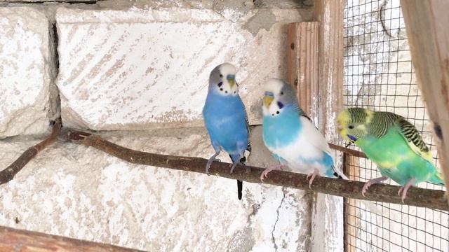 мое хобби смотреть онлайн