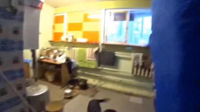 Социальный видеоролик о бездомных животных смотреть онлайн