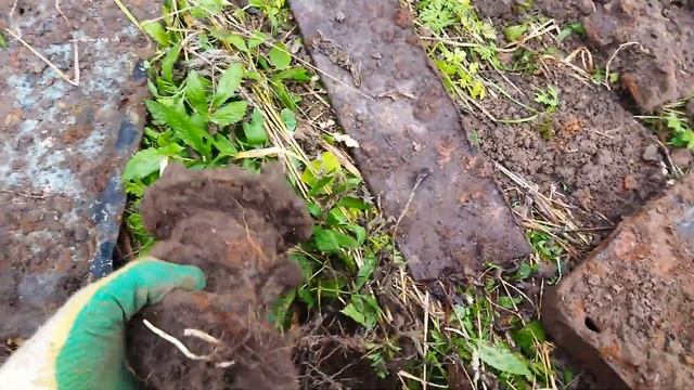 МЕТАЛЛАКОП. КОПАЕМ ДОМ "ПЛЮШКИНА" . МОРЕ НАХОДОК смотреть онлайн