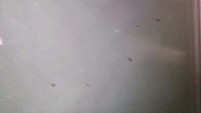 ✅Лифт ЩЛЗ 400кг 2008 г.в. и Лифт КМЗ 1990 г.в. по адресу г. Ставрополь ул. Тухачевского 12/1