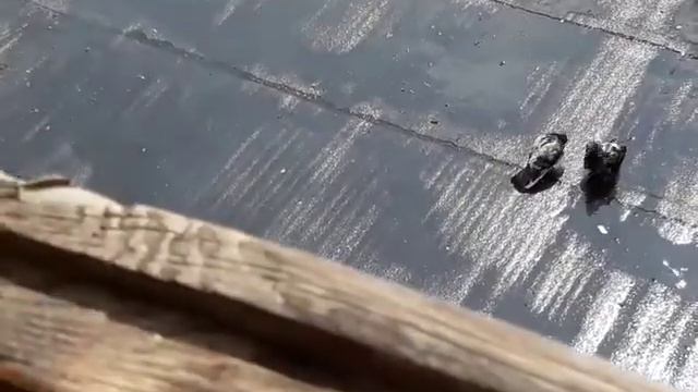 ЖАРКИЙ ЛЕТНИЙ ДЕНЬ 🌦🕊🕊🌞🌦👼 смотреть онлайн