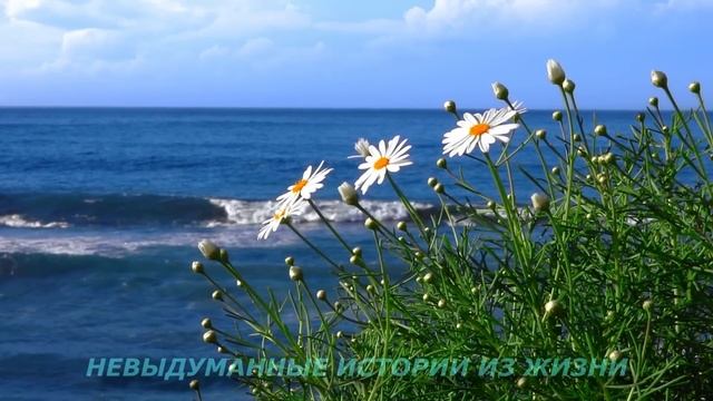 ?ЕСЛИ БЫ НЕ ОНА...?Истории из жизни?Аудио рассказы?Жизненные истории смотреть онлайн