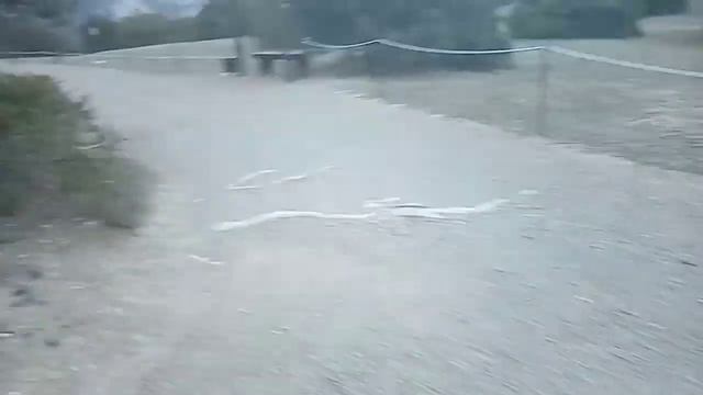 Новый Свет Прогулялся по Можжевеловой Роще тропа Голицына Крым смотреть онлайн