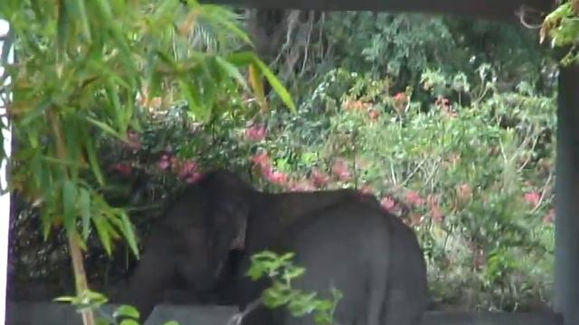 Suprita@zoopark 2011-15 смотреть онлайн