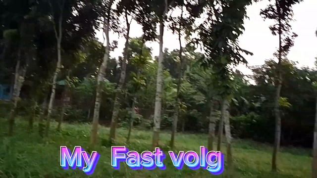 My Fast volg ? My Fast video ? ON YouTube ?আমার ফাস্ট ব্লগ ভিডিও ? Vlog tolls смотреть онлайн
