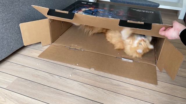 UNBOXING MY NEW MONITOR - Ultimate Streaming/Gaming/Editing Setup смотреть онлайн