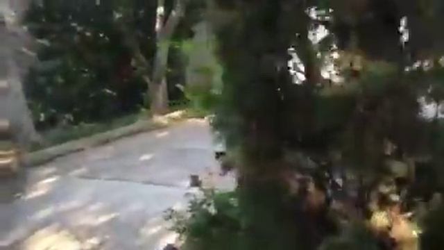 Shady Brook outside смотреть онлайн