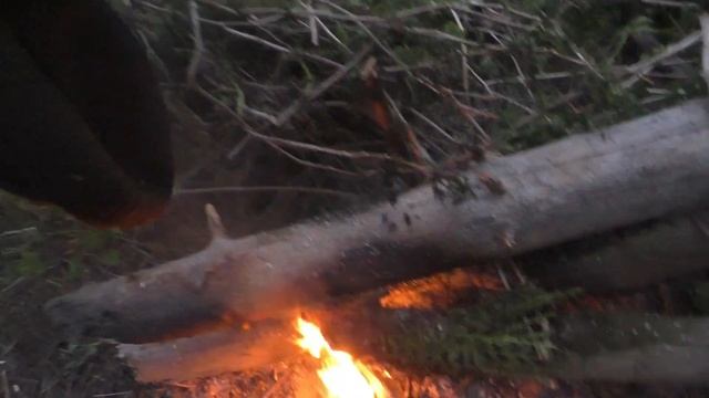 8часть ТАЕЖНОЕ СРЕДСТВО от МОШКИ и ГНУСА в ТАЙГЕ живу ОДИН- Костер Друг ДЕВСТВЕННАЯ ТАЙГА Рыбалка 2 смотреть онлайн