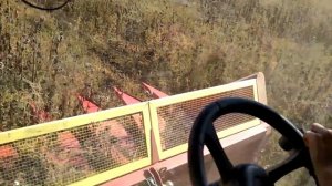 Полесье GS12 КЗС-1218. Уборка подсолнечника на семена, студент за рулём