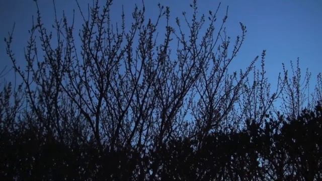 HD Test - Sony HDR-SR8E смотреть онлайн