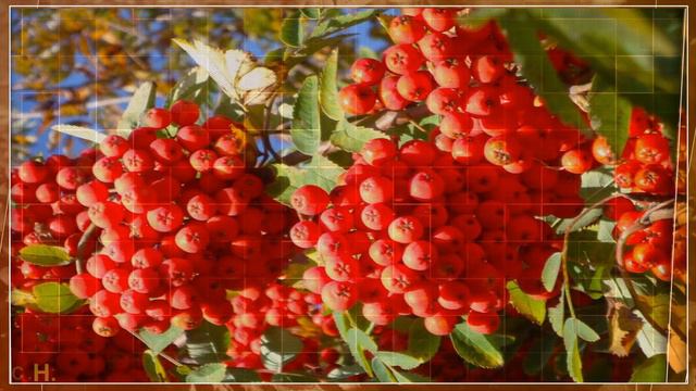 Леди Осень спешит на свидание... смотреть онлайн