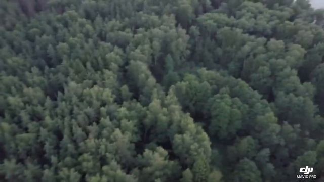 Ошибка компаса и дезориентация смотреть онлайн
