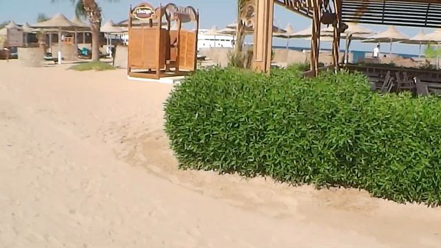 УРА мы в Египте! Отличный отель Али Баба 4* , Хургада Египет. Пляжи отелей Жасмин, Али Баба, Аладин смотреть онлайн