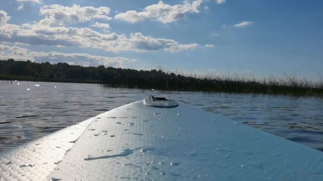 Sup серфинг на Балтике - сапим в тростнике смотреть онлайн