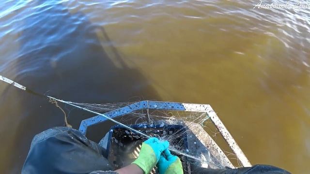 ЧТО ЛОВЯТ СЕТЯМИ В СИБИРИ... Рыбалка как работа! Ловля сетями вместе с промысловиками! Осень 2020. смотреть онлайн