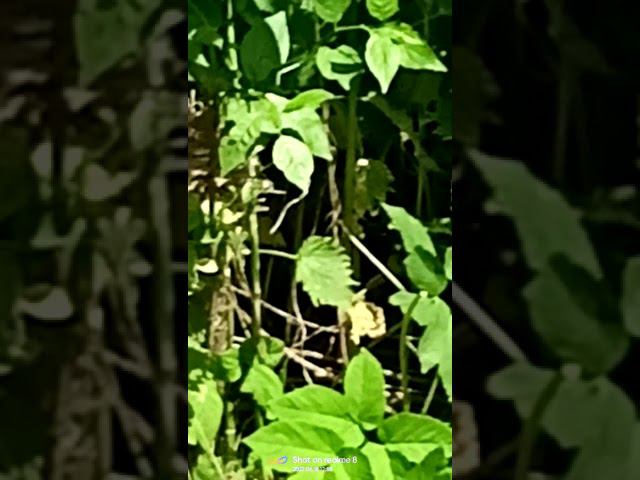 19 июня 2022 г. смотреть онлайн